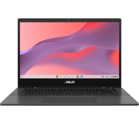 Asus CM14 Flip 14" 2 In 1 Chromebook Laptop